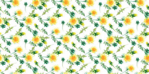 Wild flowers. Watercolor simple seamless pattern with the image of yellow dandelion flowers with foliage, stems and buds. Hand drawn illustration on a white background for the design of fabric