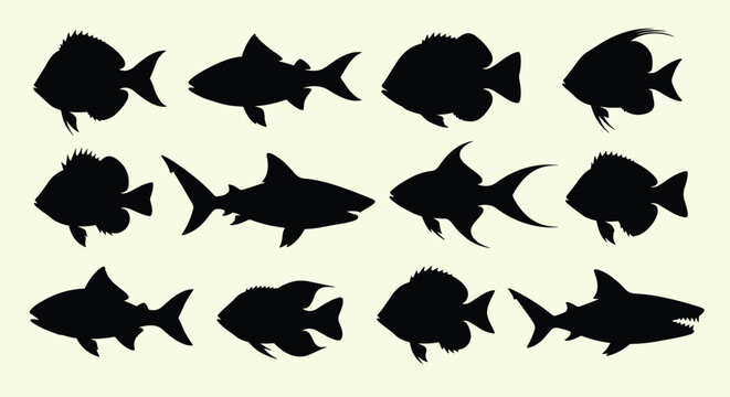 Collection of diverse fish silhouettes representing aquatic life diversity underwater ecosystems ocean fauna marine biology study
