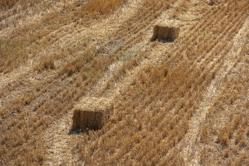 The process of harvesting hay. Hay is pressed into a rectangular briquette in the field. The straw after harvesting the grain is used for livestock feed. Traces of the combine in the field.