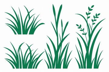 Stylized green grass illustrations nature plant