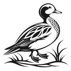 Obraz premium A duck standing in grass, isolated on white background