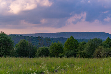 mountain landscape with trees