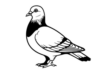 Fototapeta premium vector illustration of a bird