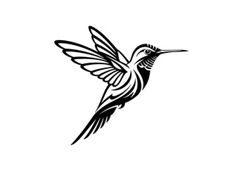 black and white bird