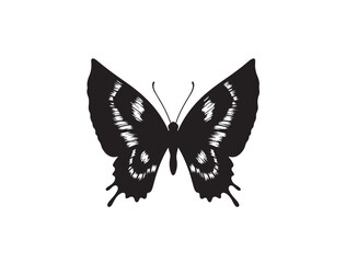 Fototapeta premium Create a symmetrical butterfly silhouette designed for a tattoo template