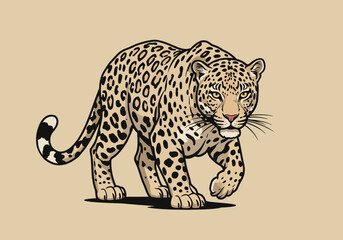 leopard on a black background