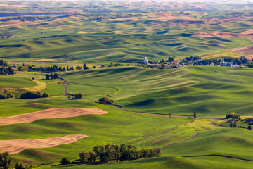 a scenic view of the Palouse, a vast agricultural region in Washington