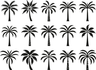 Fototapeta premium Collection of palm tree silhouettes