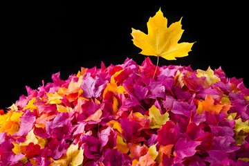 A pile of colorful autumn leaves with a single golden leaf rising above them backlit by sunlight with copy space