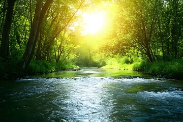 A peaceful river flowing through a forest with birds perched on branches and the sun shining through with copy space 