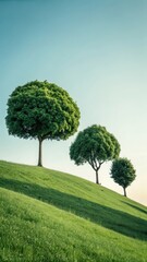 Three lush green trees on a sunlit grassy hill