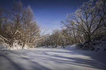 winter season in the village