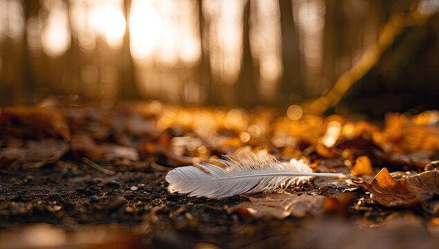 A single white feather rests on a bed of autumn leaves