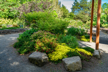 South Seattle Garden Plants 2