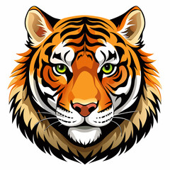 tiger vector illustration