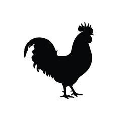 Silhouette of a proud rooster standing tall