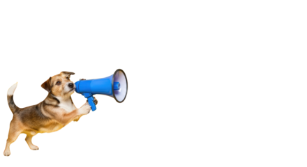 A dog with megaphone making announcement. featuring dog, animal, pet. This image is ideal for use in various financial contexts.