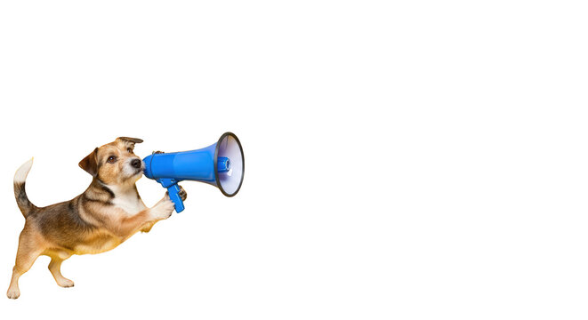 A dog with megaphone making announcement. featuring dog, animal, pet. This image is ideal for use in various financial contexts.