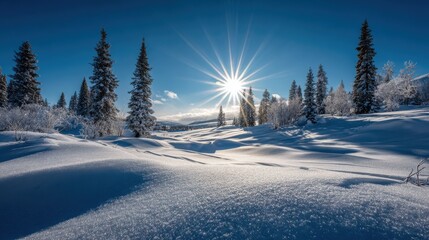 Bright Winter Sun over a Snow Covered Landscape.
