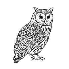 Owl in black outline style, isolated on transparent or white background, vector illustration.