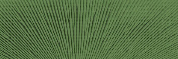 Minimalistic background with green halftone organic texture. Gritty retro effect. Vector nature pattern overlay.