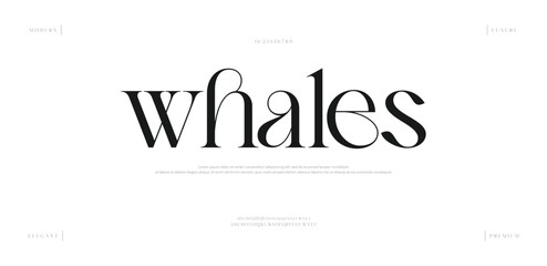 Whales Minimal Fashion font alphabet. Luxury modern urban fonts for logo, brand etc. Typography typeface uppercase lowercase and number. vector illustration
