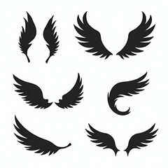 Fototapeta premium Vector