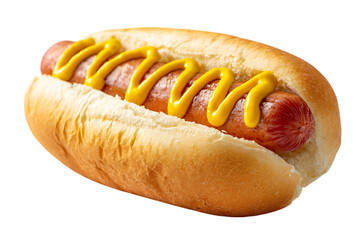 Classic hot dog with mustard