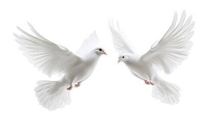 doves flying png