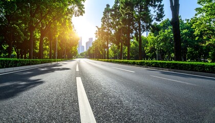 Empty city road lined with trees