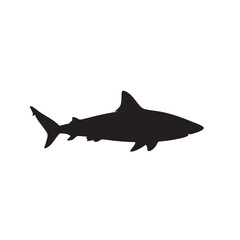 Powerful Shark Silhouette Swimming Gracefully Across the Ocean, A Marine Predator