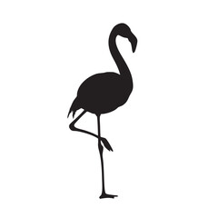 Elegant Flamingo Silhouette Standing on One Leg Against a White Background