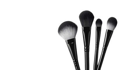 makeup brushes png