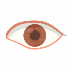 vector illustration of an eye with brown lenses