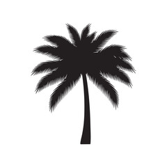 Silhouette of a Palm Tree with Large Fronds Isolated on White Background