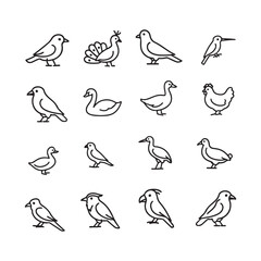 Vector Collection of Various Bird Line Art Illustrations