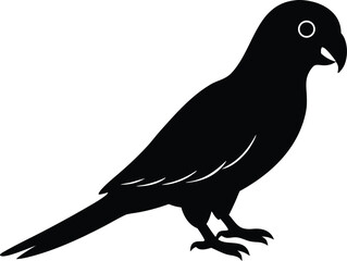 Flying parrot across sunset sky , graceful bird silhouette design
