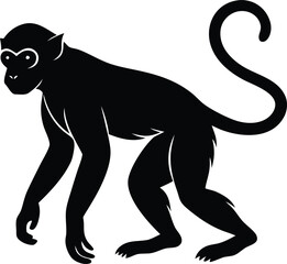 Jumping Monkey Silhouette in Tropical Canopy