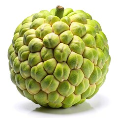Fototapeta premium Close up of a fresh green Sugar Apple fruit isolated on white