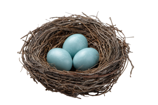 Three pale blue eggs nestled in a bird's nest.