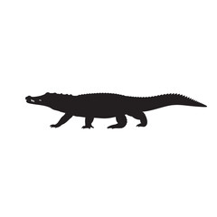 Silhouette of a powerful and formidable alligator walking across a white background