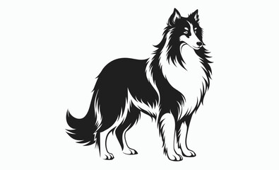 Collie dog silhouette, herding breed vector, domestic animal icon, Lassie dog silhouette vector illustration 