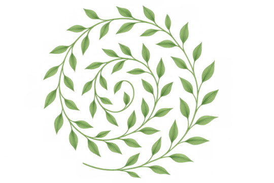 Circular arrangement of green leaves forming a spiral on a transparent background, ideal for nature-themed designs