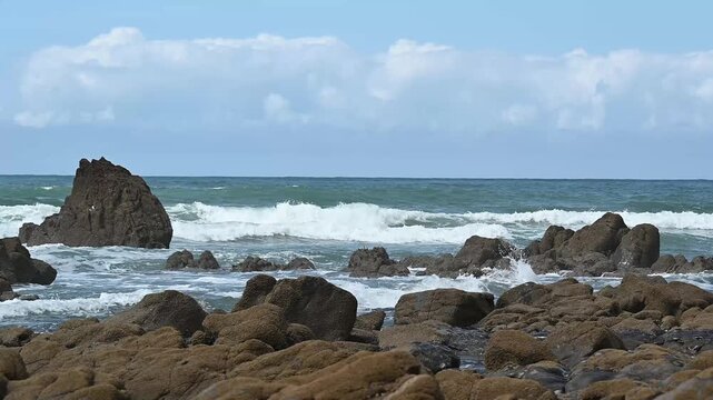 Danfer of surfing and swimming near rocks
