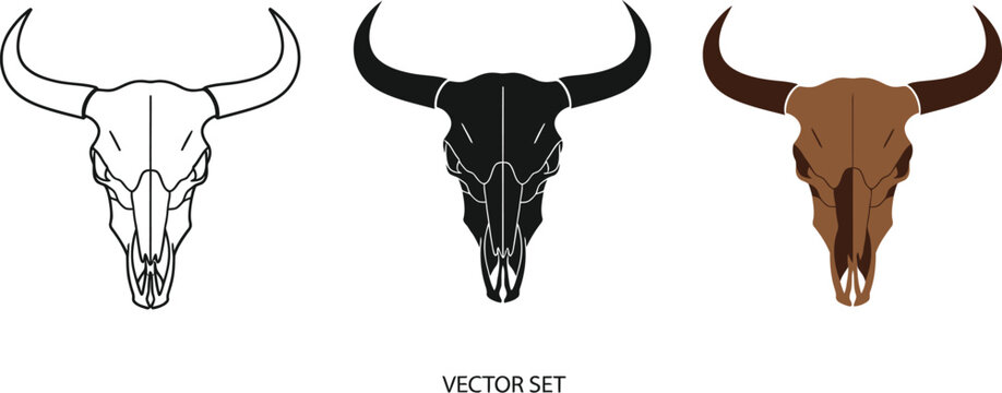 Three stylized bull skulls showcase a vector set, featuring line art, solid black, and brown color variations, perfect for western themes, tattoo designs, or graphic elements.