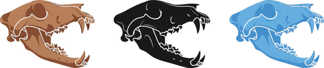Three stylized animal skulls showcase anatomical details in brown, black, and blue hues, offering a unique perspective on skeletal structures and artistic interpretations of wildlife remains.