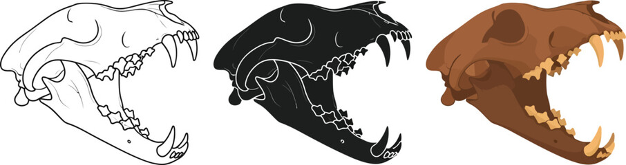 Three stylized animal skulls showcase skeletal anatomy in line art, silhouette, and color variations, perfect for educational resources or creative projects emphasizing zoology and design.