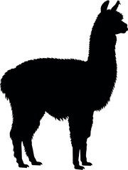 Fototapeta premium Llama silhouette minimalist animal vector