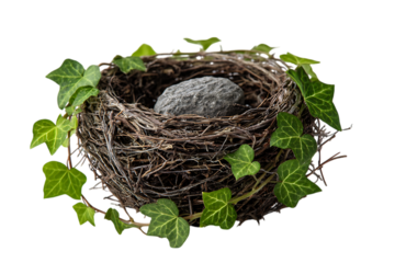 Stone in a bird's nest, ivy vines.