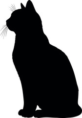 Black cat silhouette sitting profile